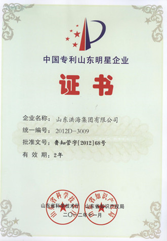 中國專利山東明星企業稱號 中國專利山東明星企業稱號